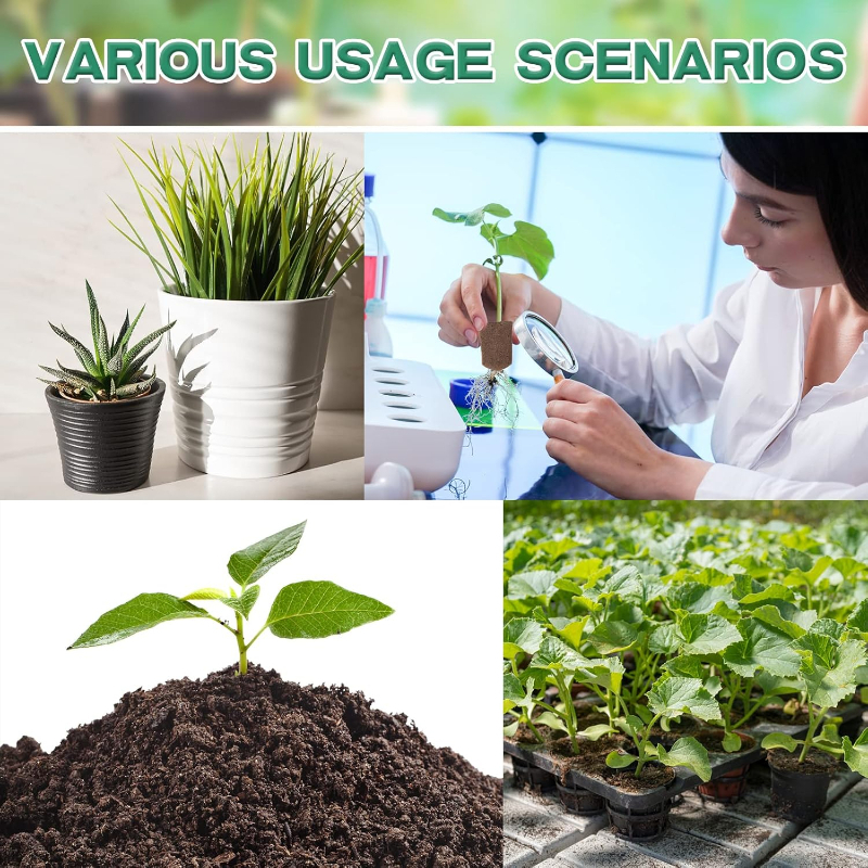 Hydroponic System - 20pc/40pc Hydroponic Sponge Plant Cloning Growth