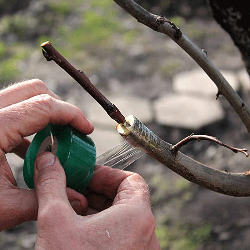 Garden Self-Adhesive Film Tape - مراجعة Grafting Tape وسعره