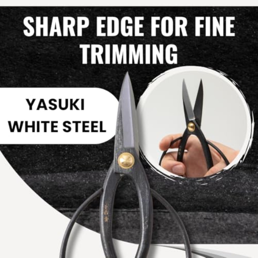 SenkichiKin Bonsai Scissors 7i - مراجعة Gardening Tools In Japan وسعره