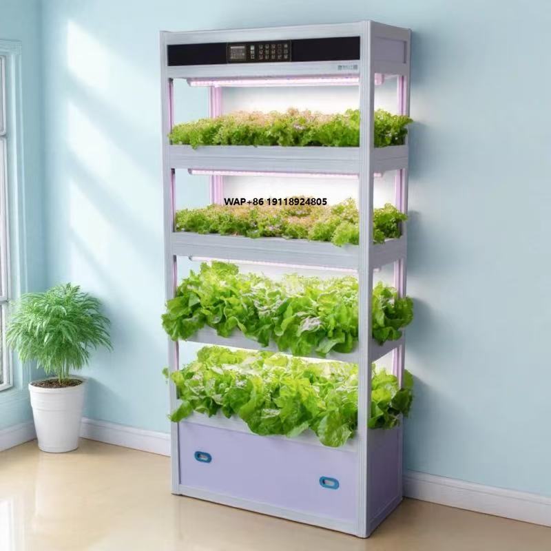 Indoor Intelligent Soilless Cu - مراجعة Hydroponic System وسعره