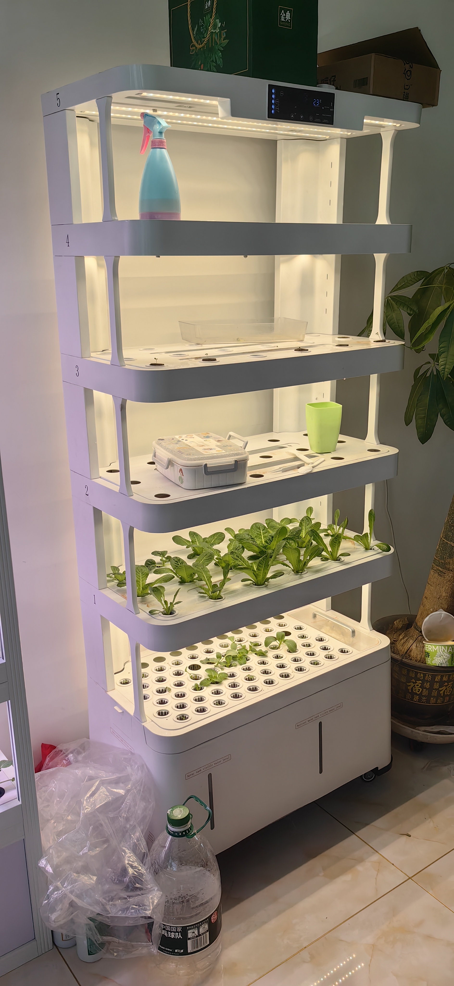 Indoor Intelligent Soilless Cu - مراجعة Hydroponic System وسعره