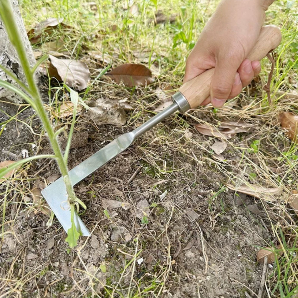 Stainless Steel Gap Weeding To - مراجعة Gardening Tools Used وسعره