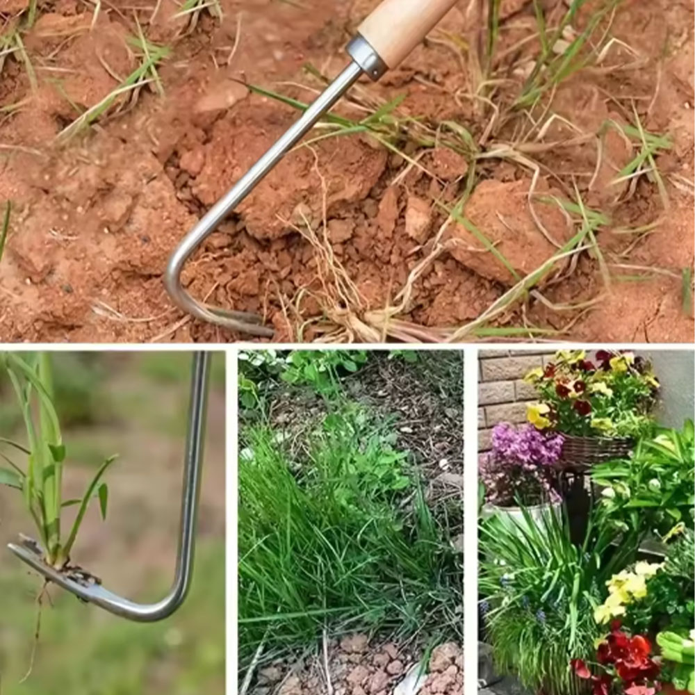 Stainless Steel Gap Weeding To - مراجعة Gardening Tools Used وسعره