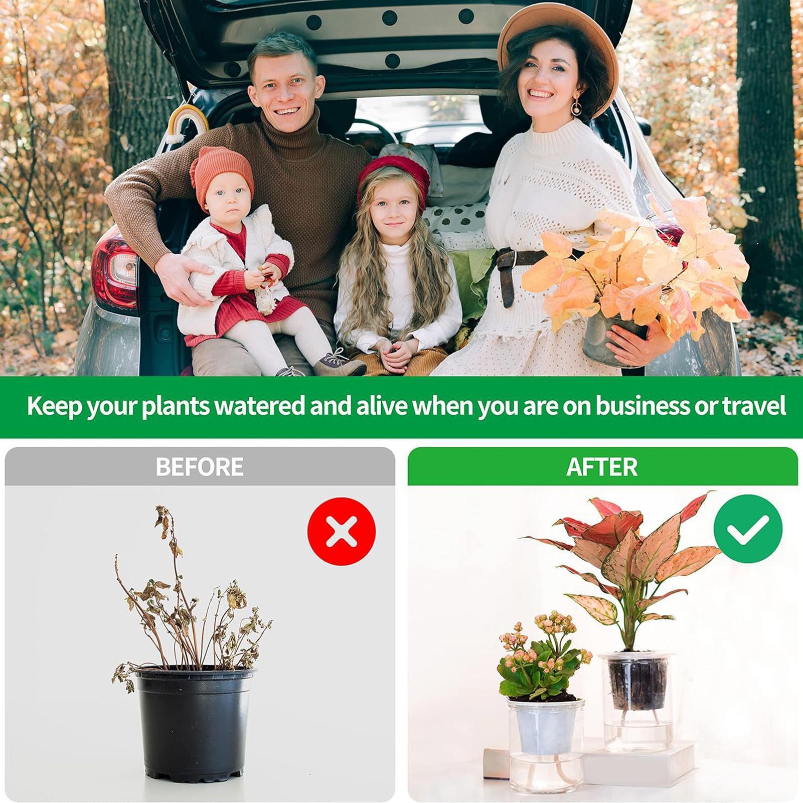 Plant Wicks For Self Watering  - مراجعة Automatic Plant Waterer وسعره
