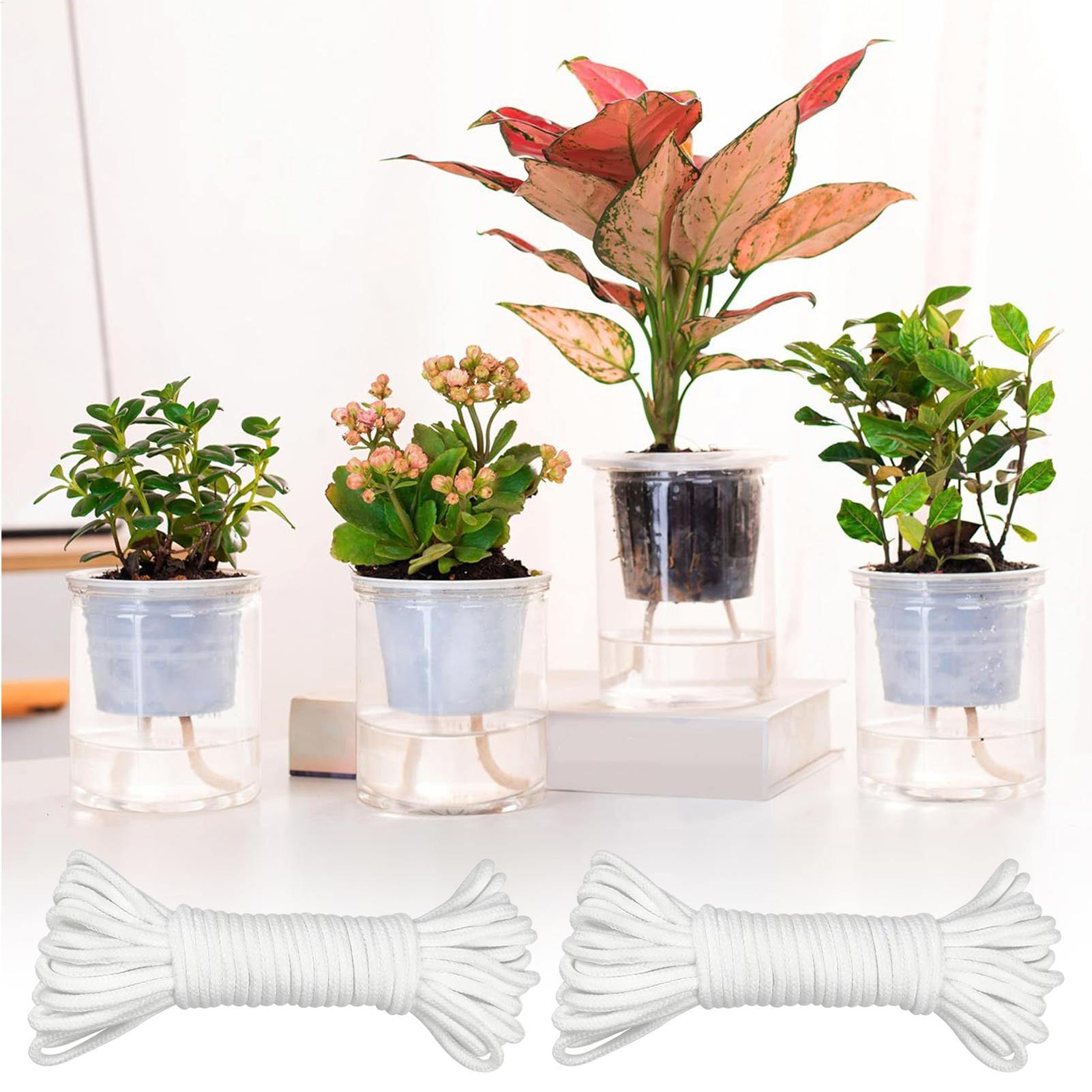 Plant Wicks For Self Watering  - مراجعة Automatic Plant Waterer وسعره