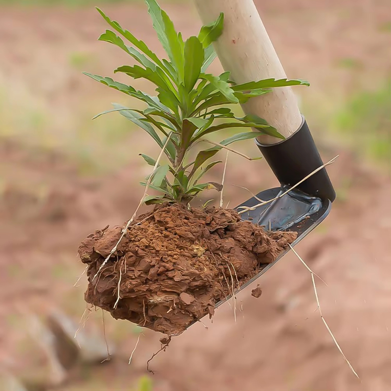 Digging Soil Small Hoe used in - مراجعة Gardening Tools Used وسعره