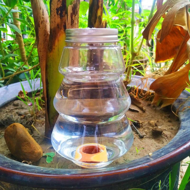 1pc Garden Automatic Watering  - مراجعة Automatic Plant Waterer وسعره