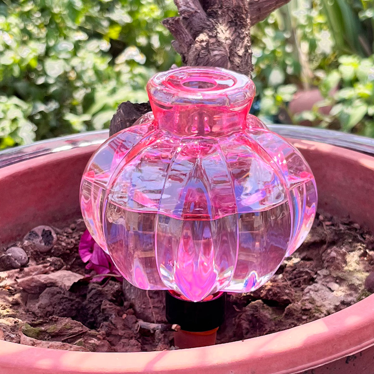 2pcs Self Watering Drip Irriga - مراجعة Automatic Plant Waterer وسعره