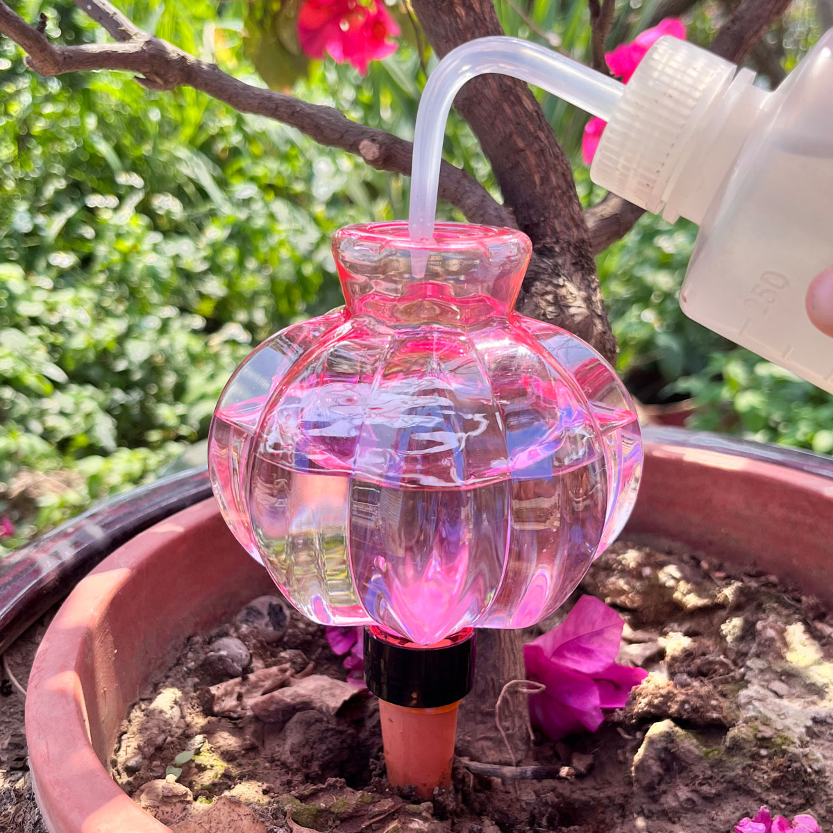 2pcs Self Watering Drip Irriga - مراجعة Automatic Plant Waterer وسعره