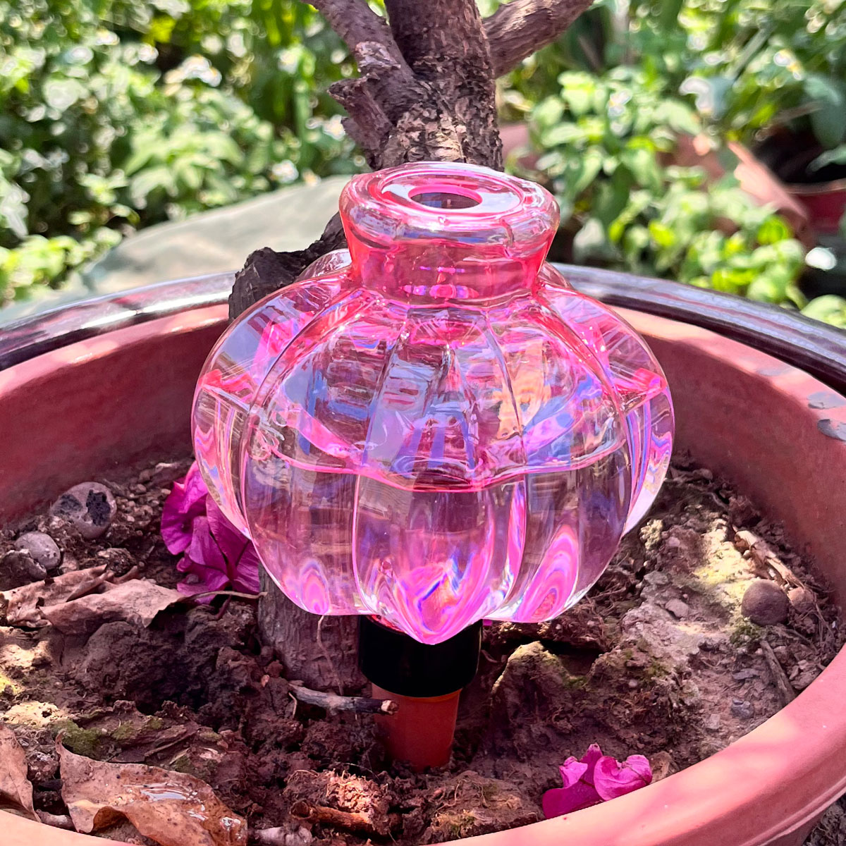 2pcs Self Watering Drip Irriga - مراجعة Automatic Plant Waterer وسعره