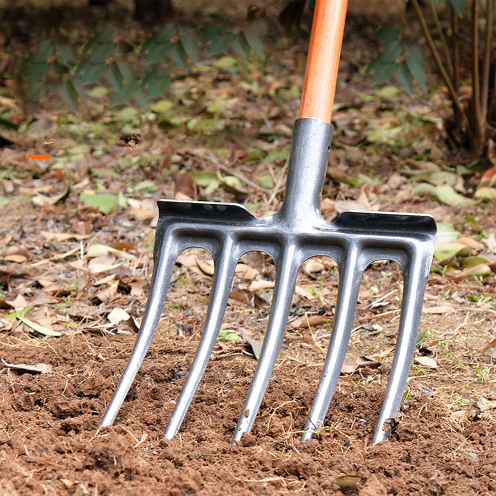 Sturdy High Carbon Steel Diggi - مراجعة Spade Digging Fork وسعره