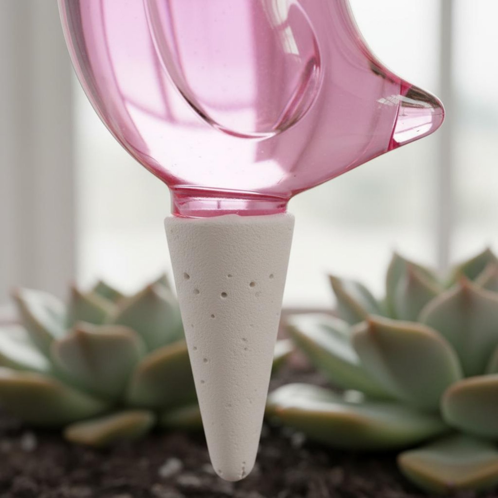 Avian Shaped Plant Waterer Slo - مراجعة Automatic Plant Waterer وسعره