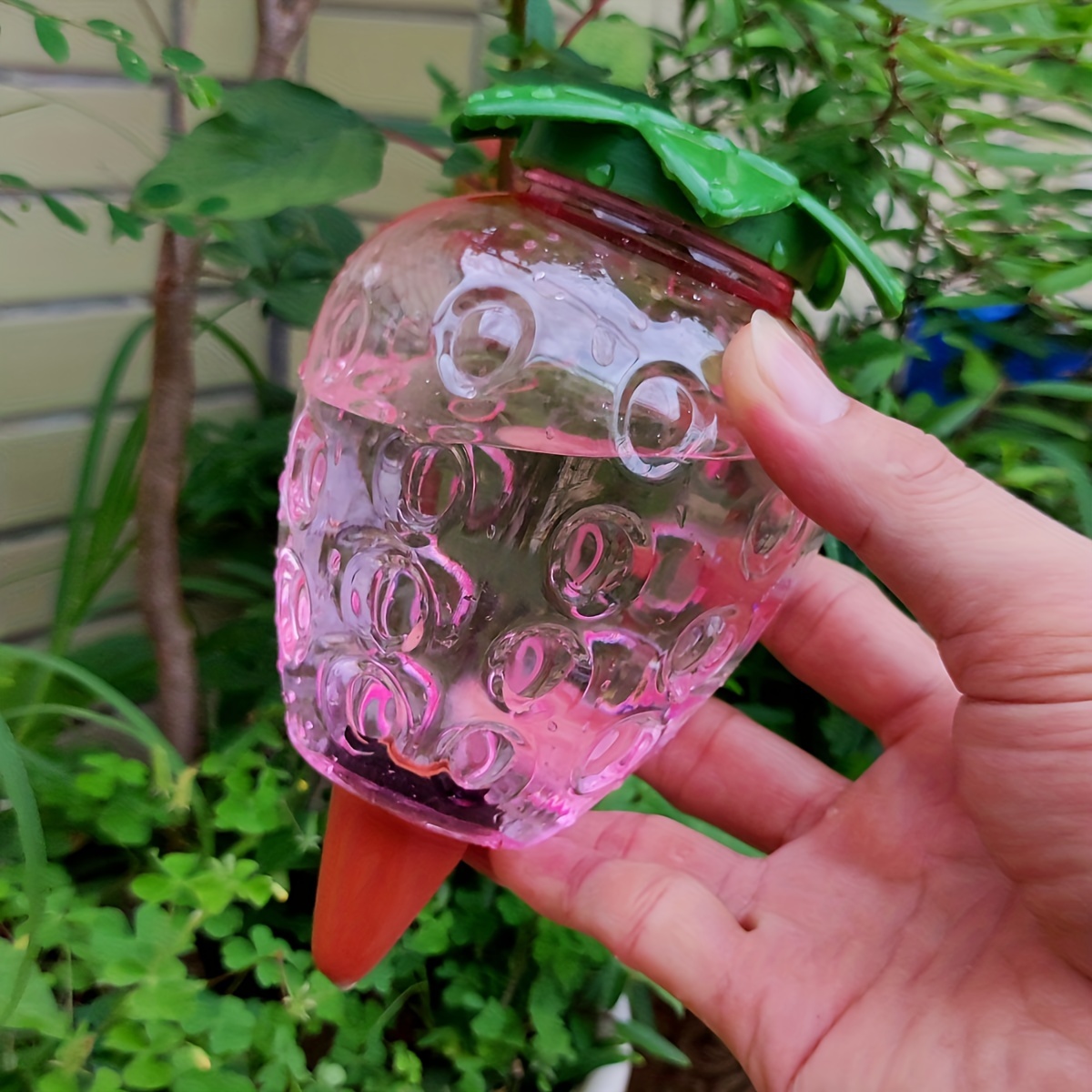 2 Pcs Automatic Watering Tool  - مراجعة Automatic Plant Waterer وسعره