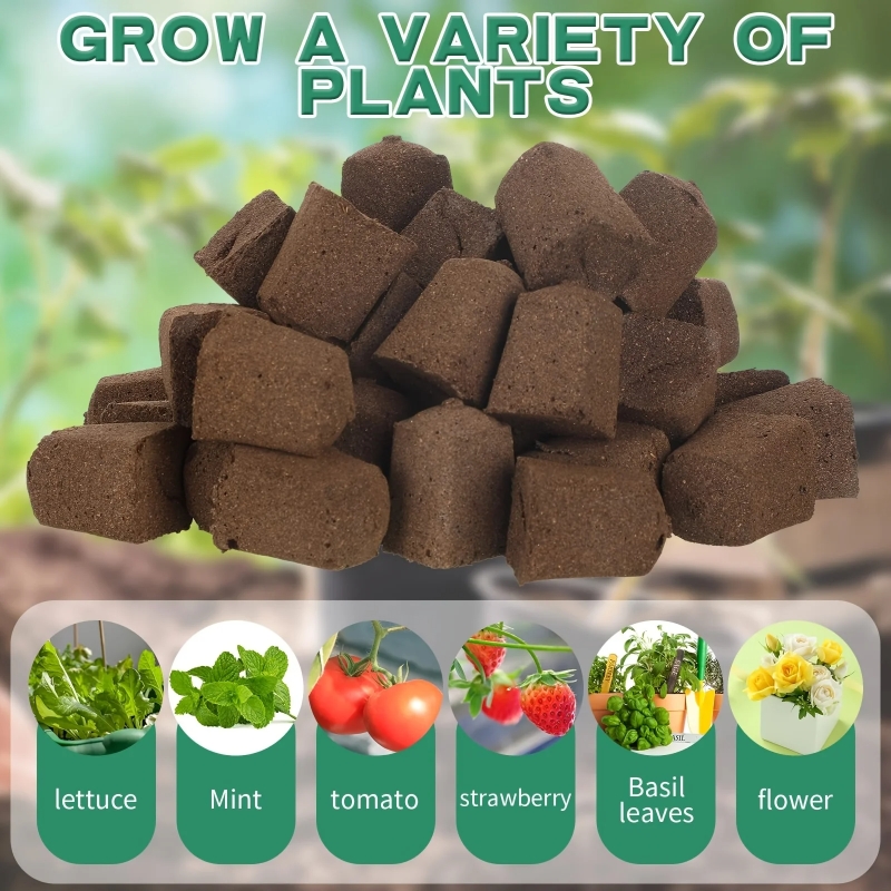 20pc/40pc Hydroponic Sponge Pl - مراجعة Hydroponic System وسعره