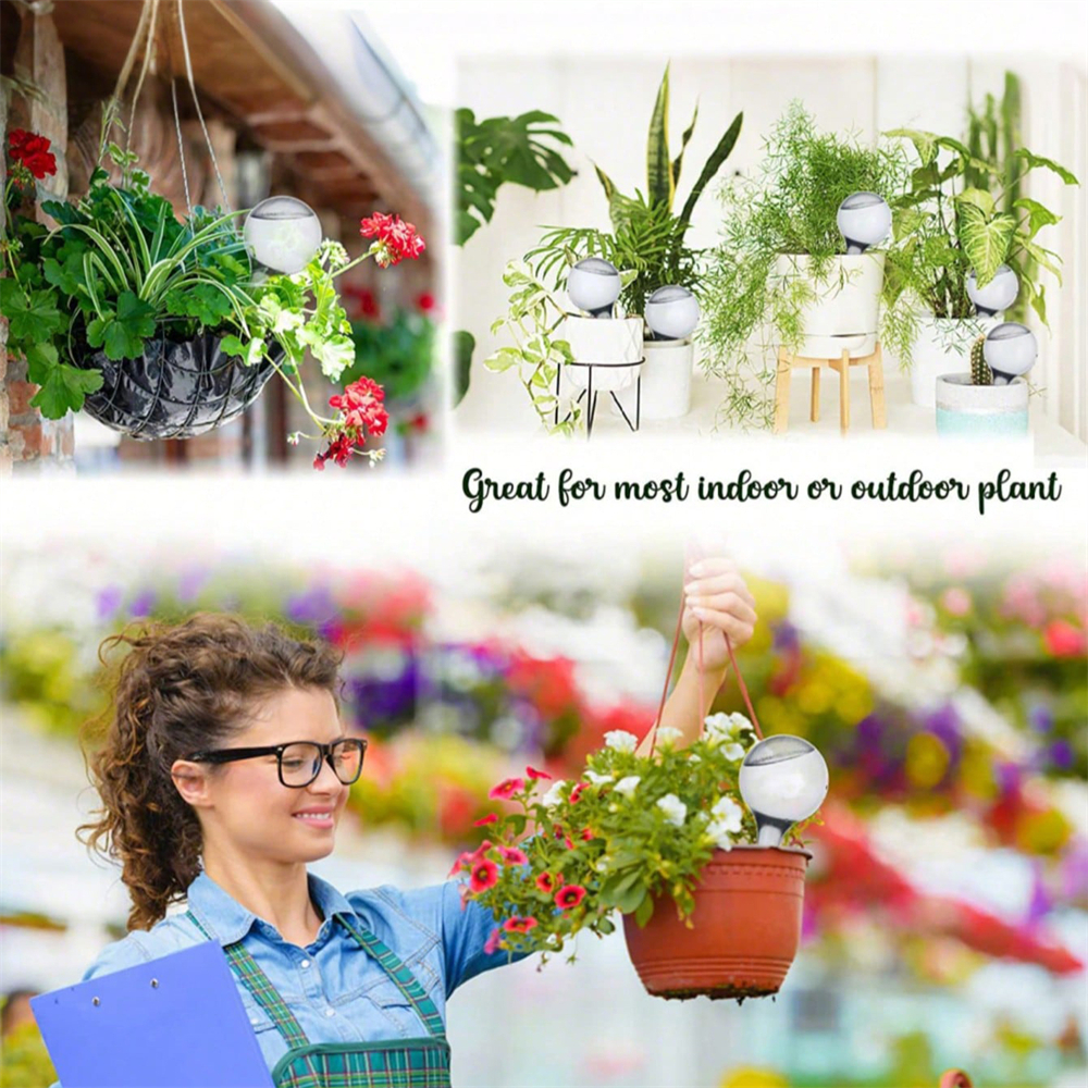 10PCS Watering Globe Clear Aut - مراجعة Automatic Plant Waterer وسعره