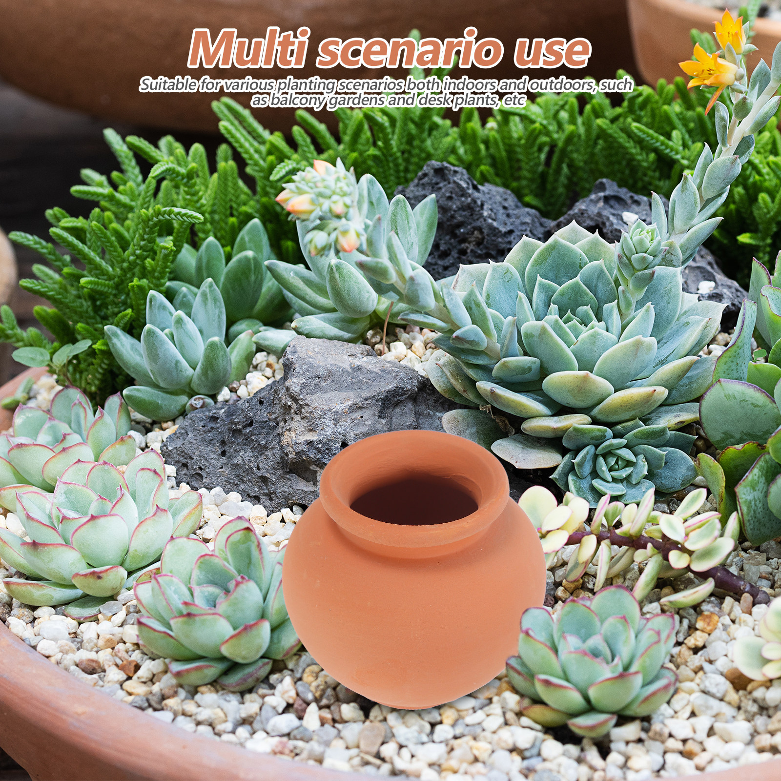 Automatic Plant Waterer Terrac - مراجعة Automatic Plant Waterer وسعره