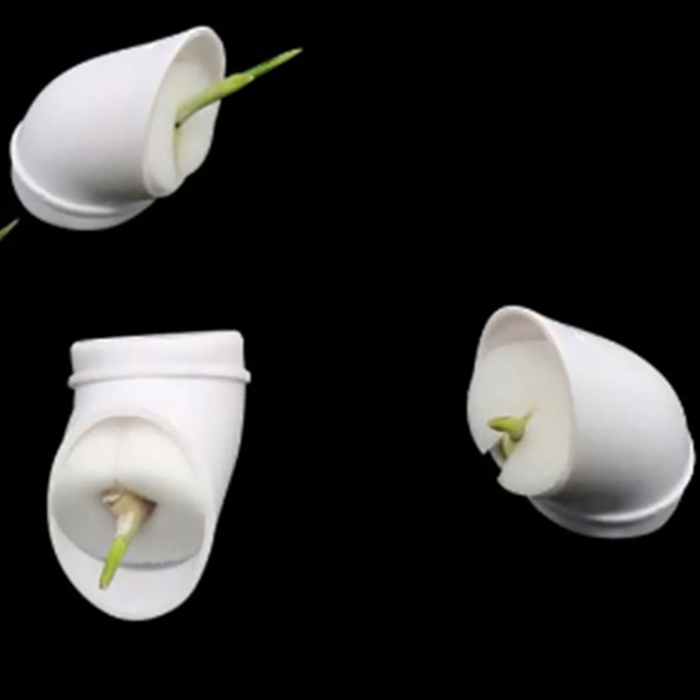 12Pcs Plastic Hydroponic Plant - مراجعة Hydroponic System وسعره