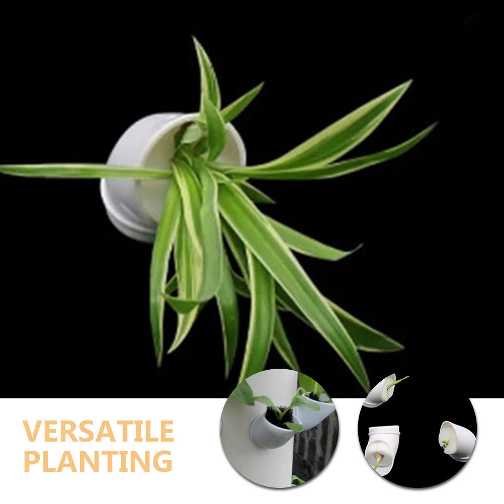 12Pcs Plastic Hydroponic Plant - مراجعة Hydroponic System وسعره