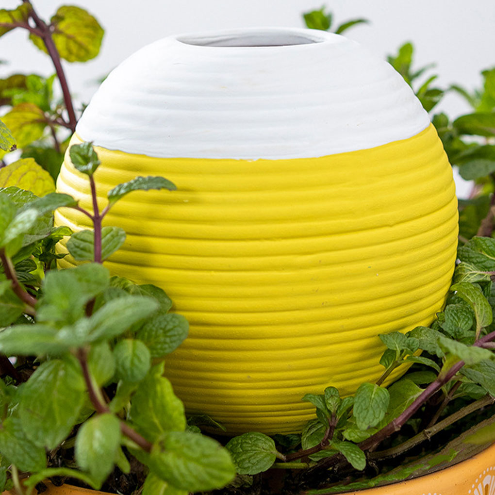 Ceramics Automatic Plant Water - مراجعة Gardening Tools Must Haves وسعره