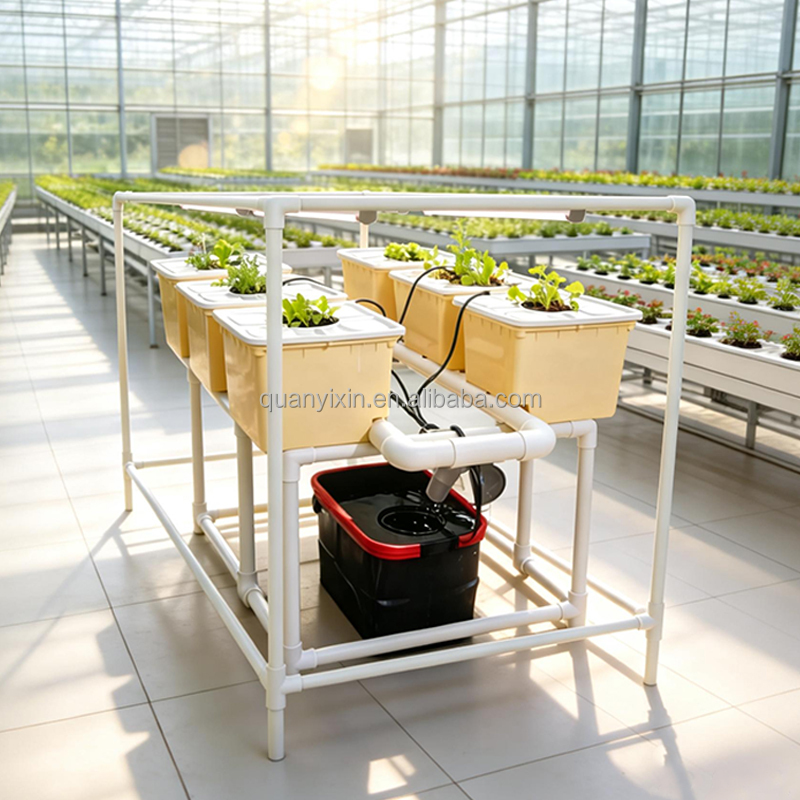 Dutch Bucket Hydroponic System - مراجعة Hydroponic System وسعره
