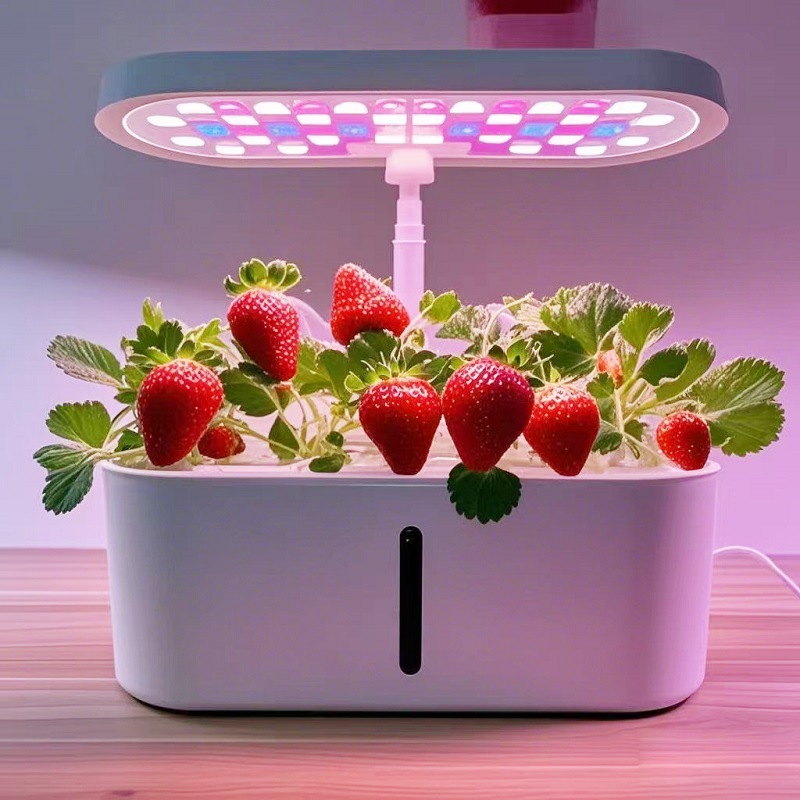 Home Smart Hydroponic Vegetabl - مراجعة Hydroponic System وسعره