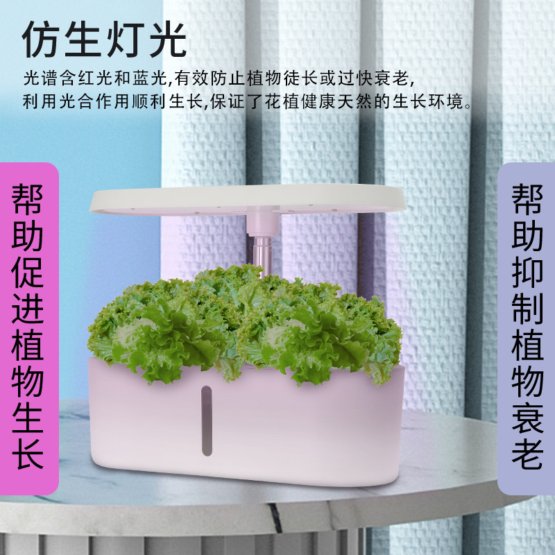 Home Smart Hydroponic Vegetabl - مراجعة Hydroponic System وسعره