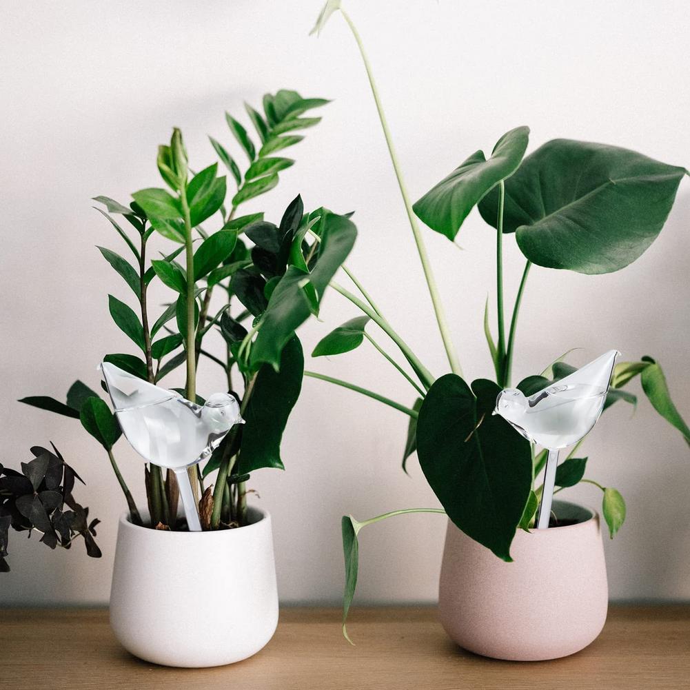 Automatic Plant Watering Bulbs - مراجعة Automatic Plant Waterer وسعره