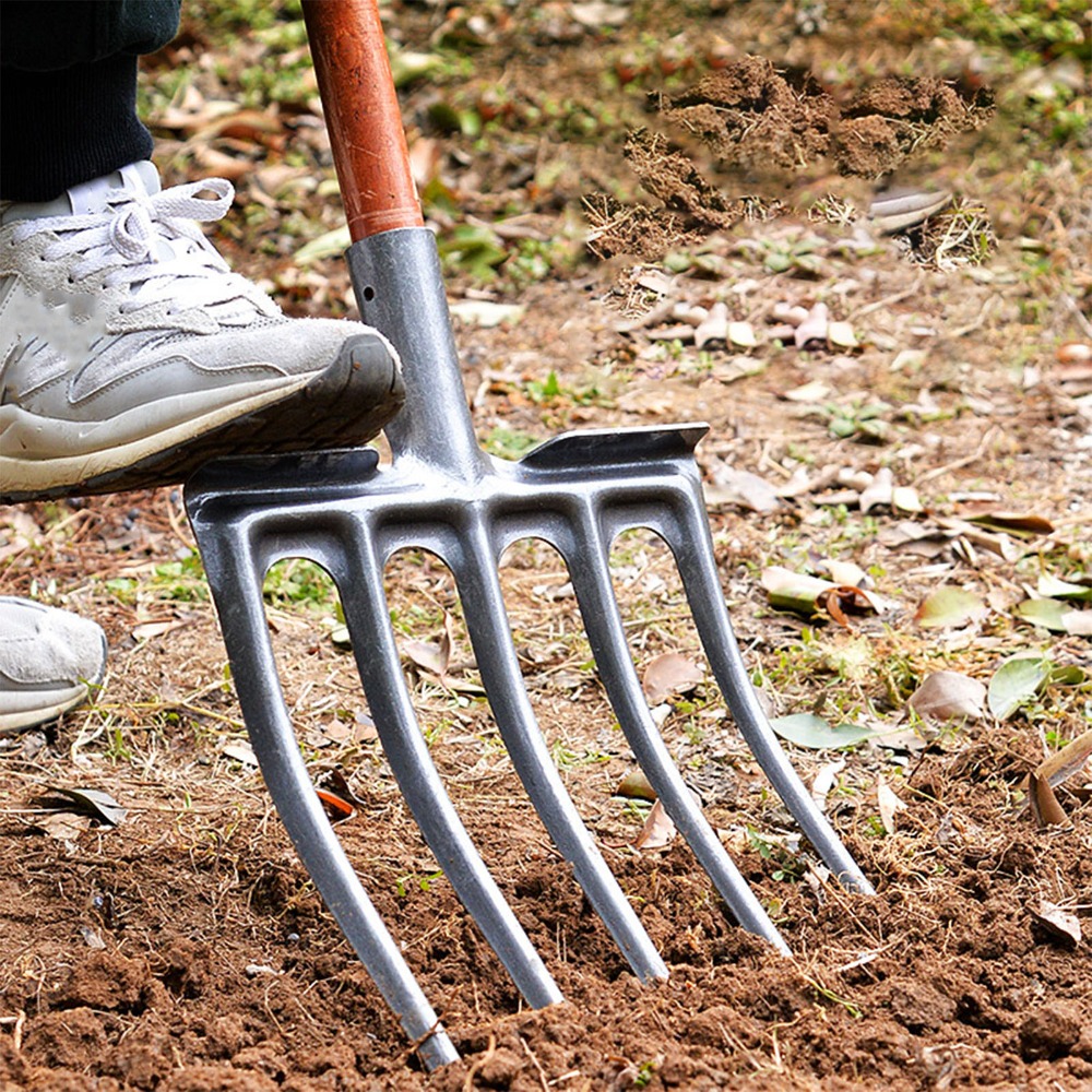 Sturdy High Carbon Steel Diggi - مراجعة Spade Digging Fork وسعره