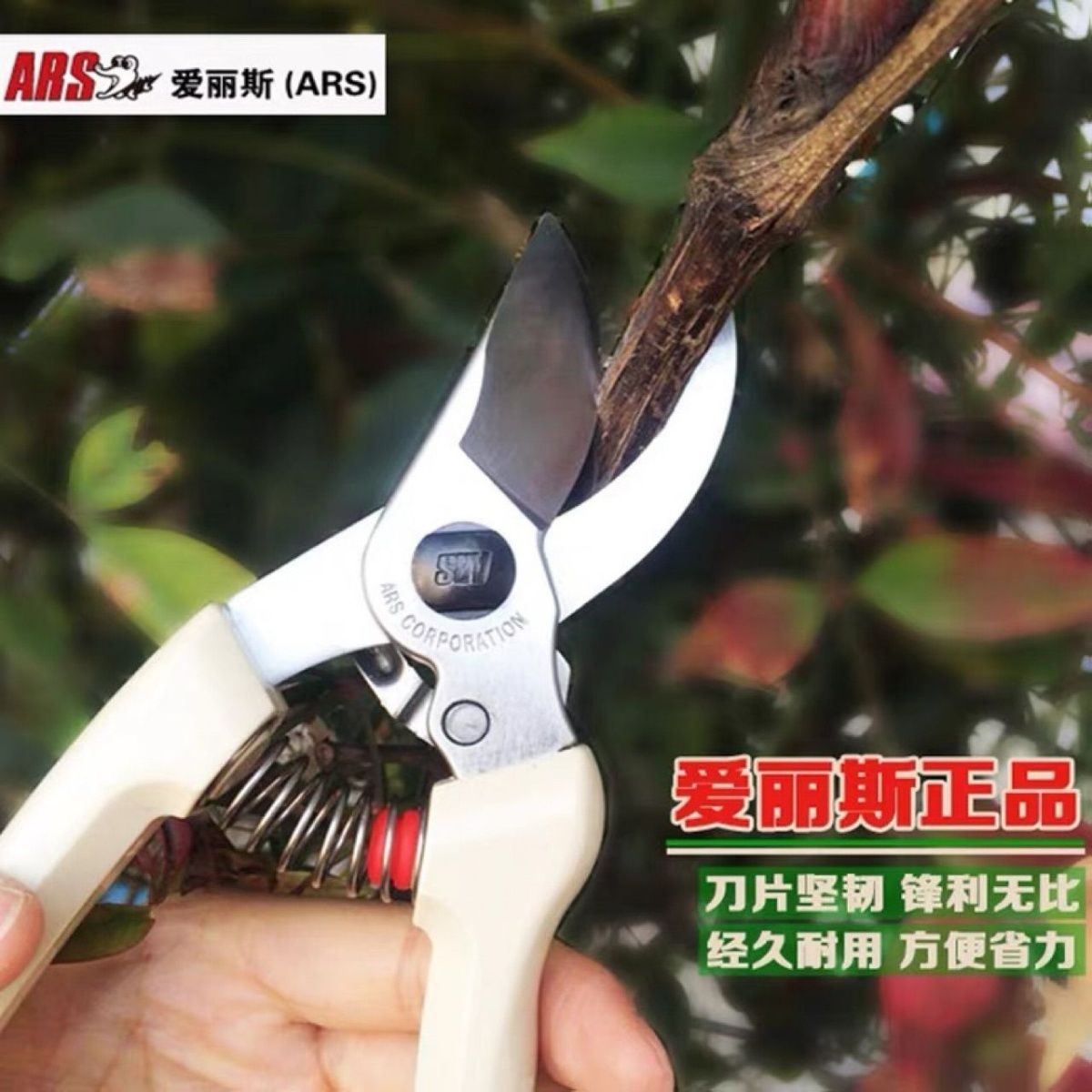 Pruning scissors, garden tools - مراجعة Gardening Tools In Japan وسعره