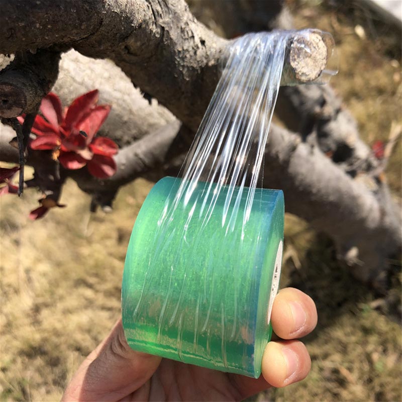 Eco-Friendly Biodegradable Gra - مراجعة Grafting Tape وسعره