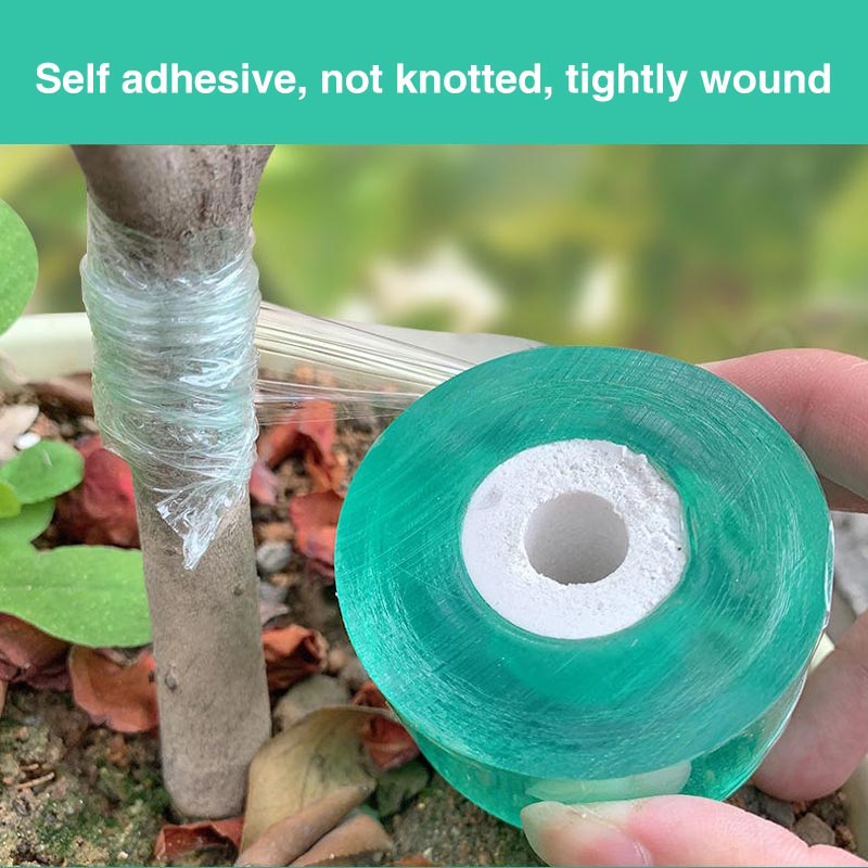 Eco-Friendly Biodegradable Gra - مراجعة Grafting Tape وسعره
