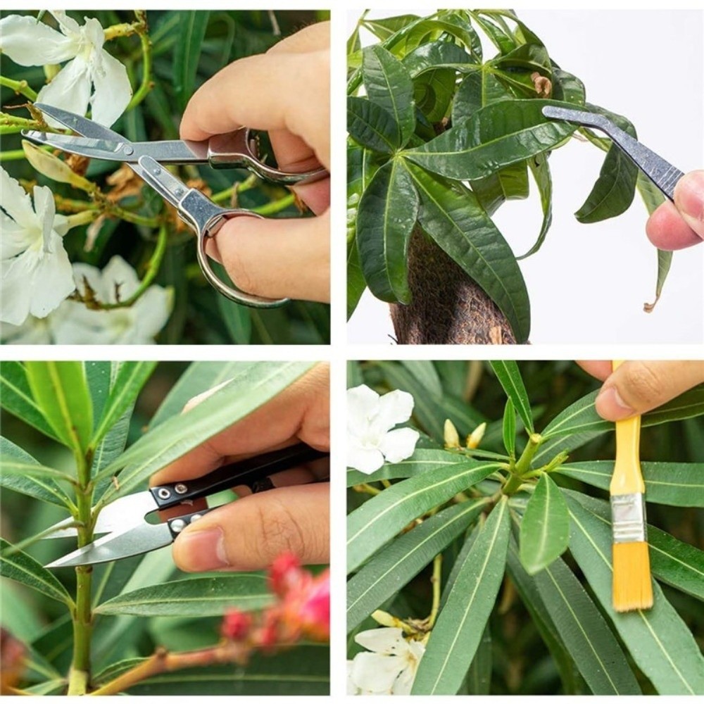Multi-functional Mini Garden P - مراجعة Spade Digging Fork وسعره