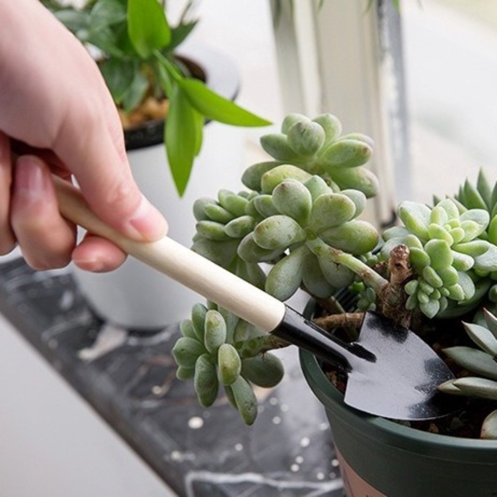 Multi-functional Mini Garden P - مراجعة Spade Digging Fork وسعره