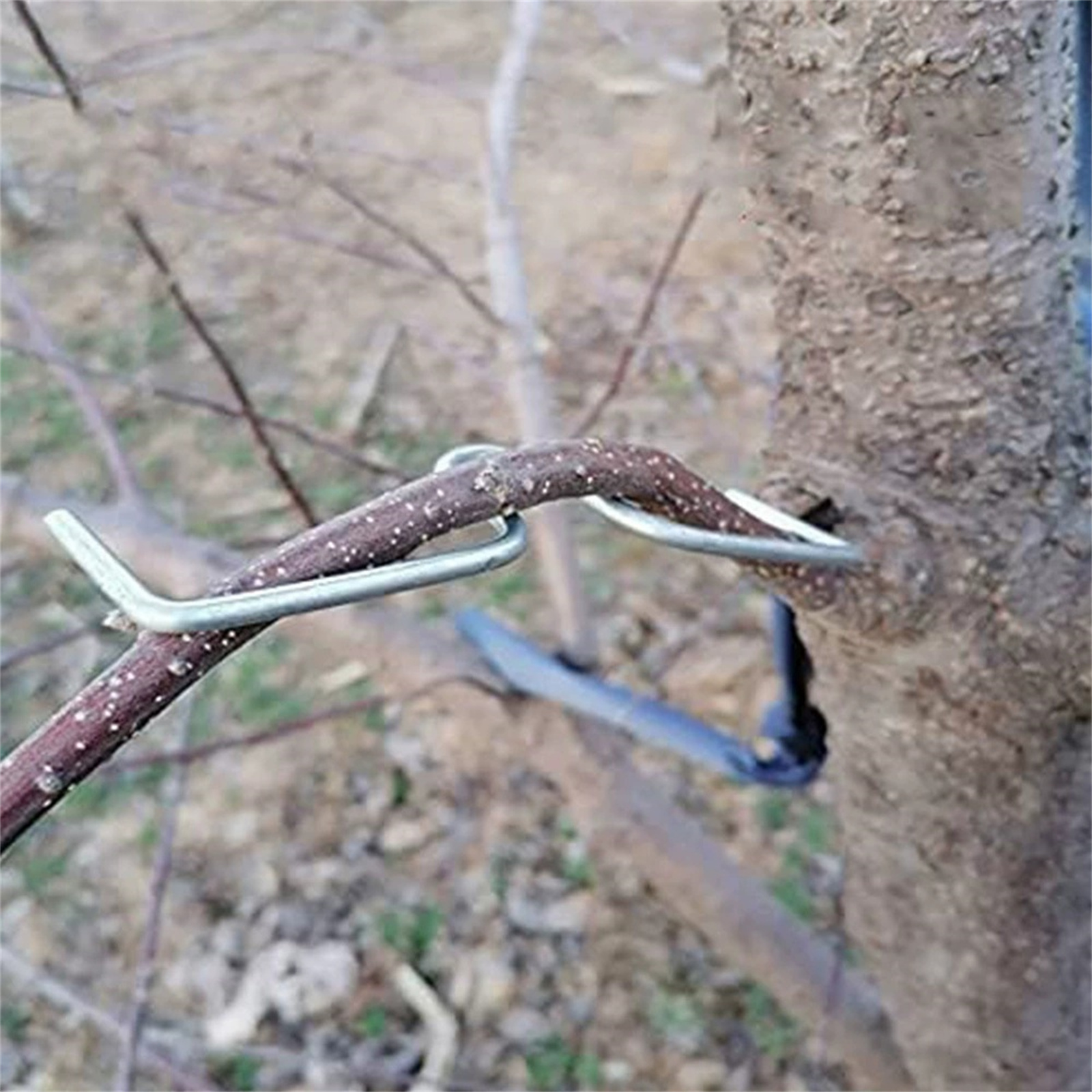 Fruit Tree Branch Bender Metal - مراجعة Gardening Tools Must Haves وسعره