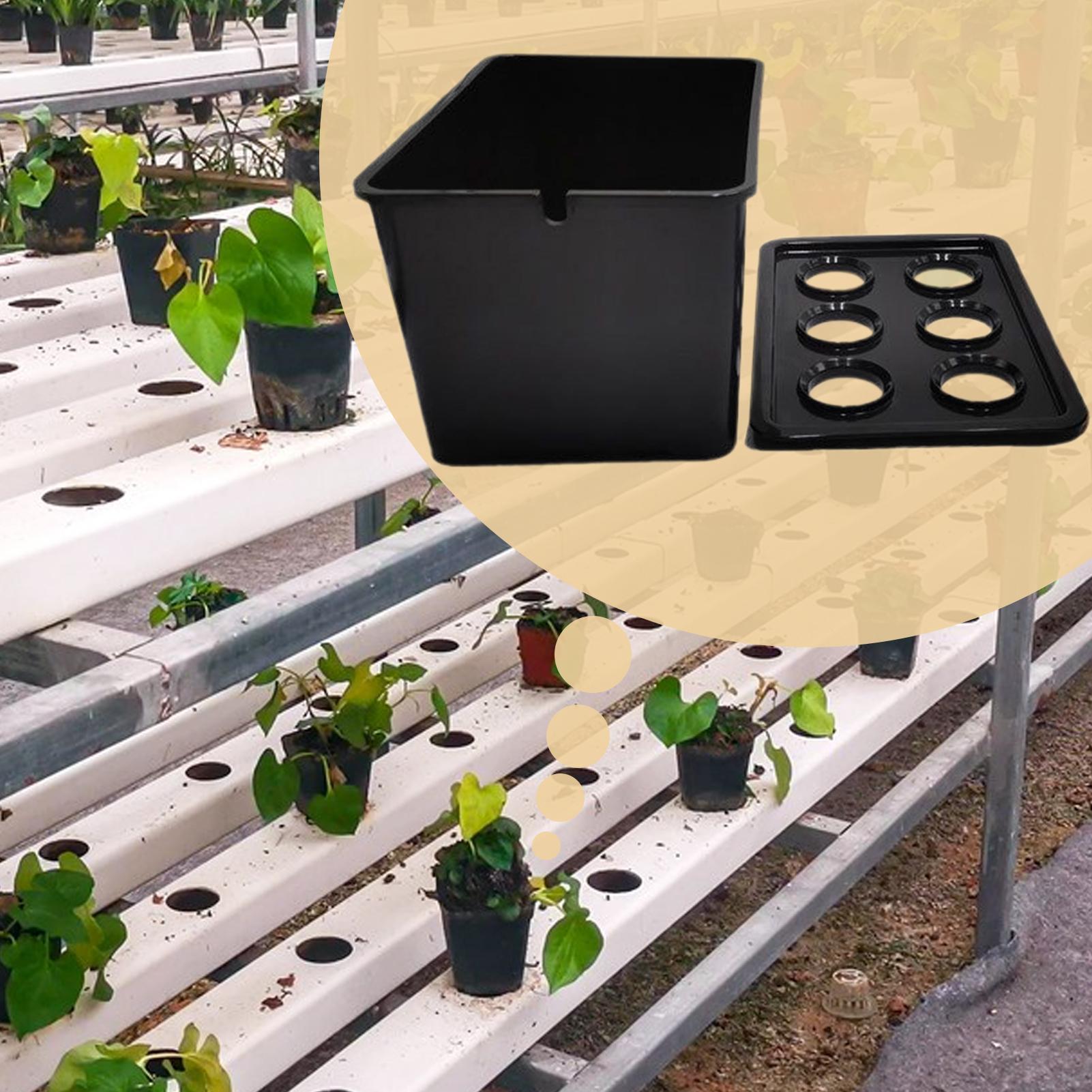 Hydroponic Planting Kit Beginn - مراجعة Hydroponic System وسعره