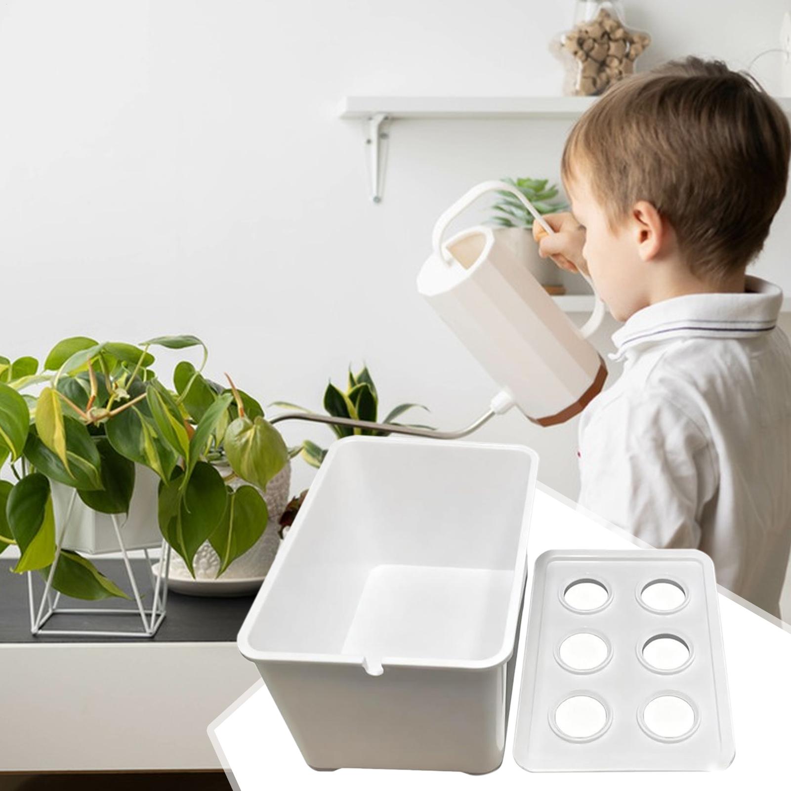 Hydroponic Planting Kit Beginn - مراجعة Hydroponic System وسعره