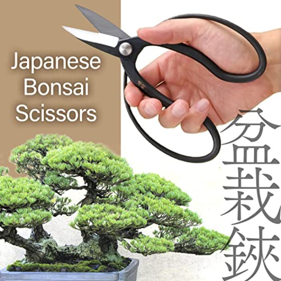 Japanese Suiryu Bonsai Scissor - مراجعة Gardening Tools In Japan وسعره
