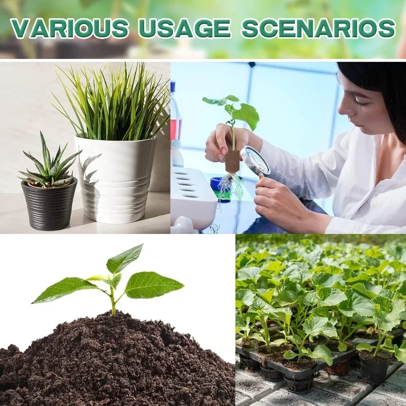 Seedling Starter Sponge Kit fo - مراجعة Hydroponic System وسعره