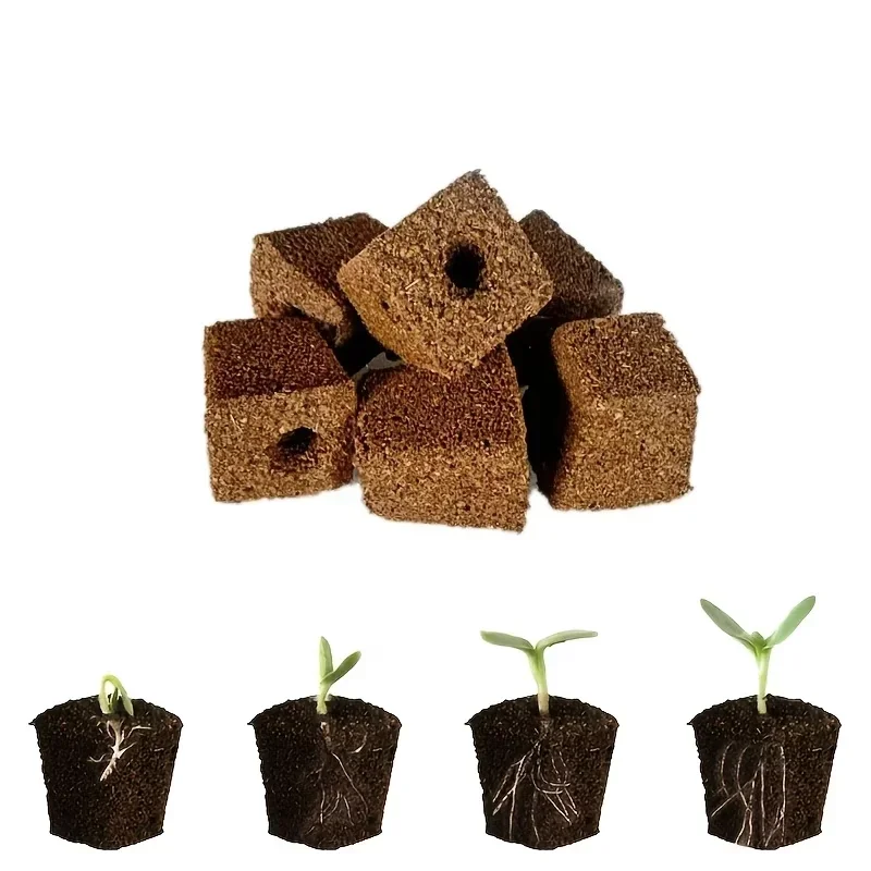 Seedling Starter Sponge Kit fo - مراجعة Hydroponic System وسعره