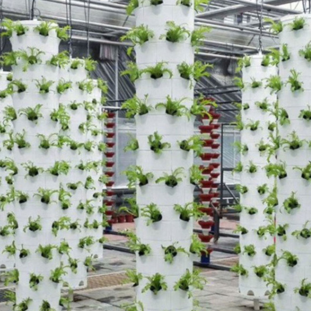 1Set Hydroponic Reusable Plast - مراجعة Hydroponic System وسعره