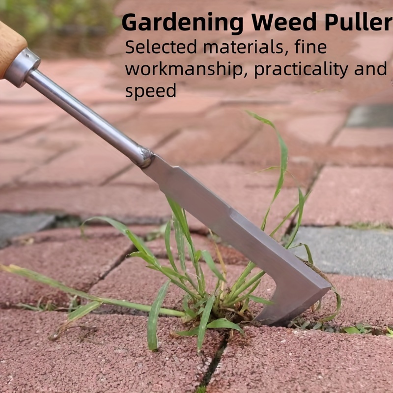 Stainless steel gap weeding to - مراجعة Gardening Tools Used وسعره
