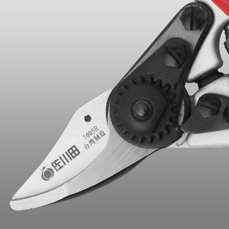 Manual Fruit Tree Pruning Scis - مراجعة Gardening Tools Big وسعره