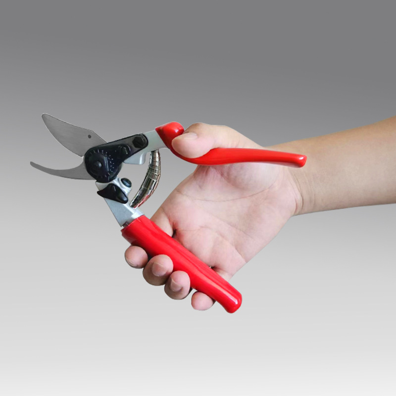 Manual Fruit Tree Pruning Scis - مراجعة Gardening Tools Big وسعره