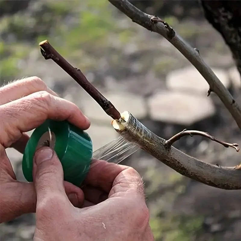 Self-adhesive PE Grafting Tape - مراجعة Grafting Tape وسعره
