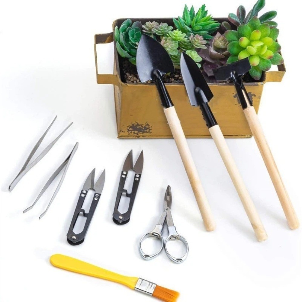 Multi-functional Mini Garden P - مراجعة Spade Digging Fork وسعره