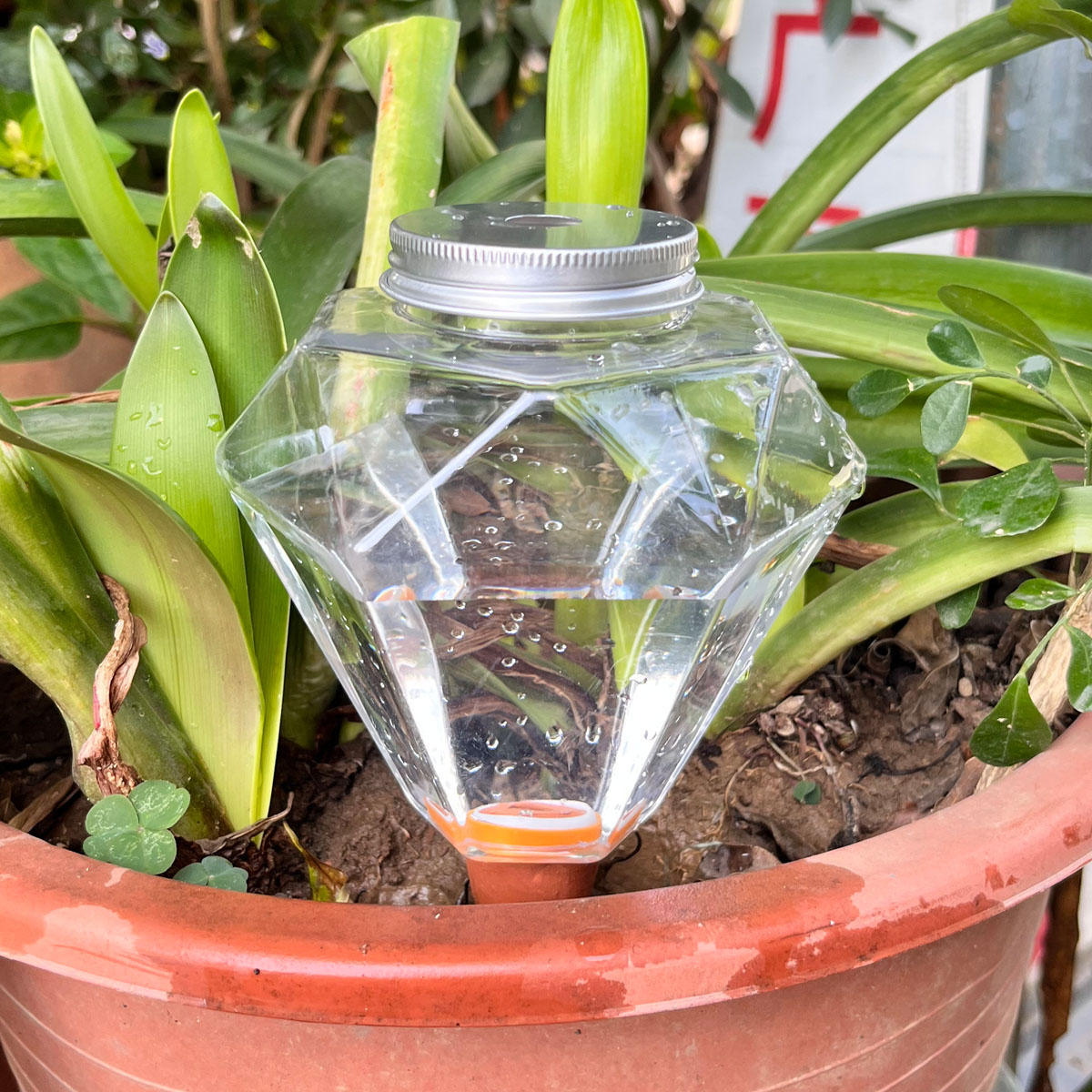 1pcs Cute Plastic Watering Mac - مراجعة Automatic Plant Waterer وسعره