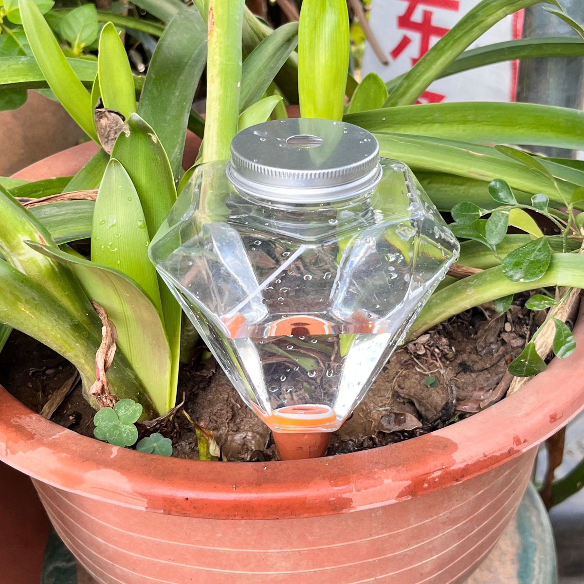1pcs Cute Plastic Watering Mac - مراجعة Automatic Plant Waterer وسعره