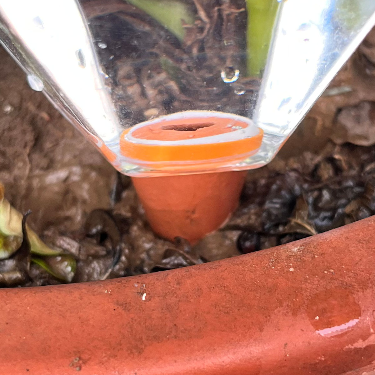 1pcs Cute Plastic Watering Mac - مراجعة Automatic Plant Waterer وسعره