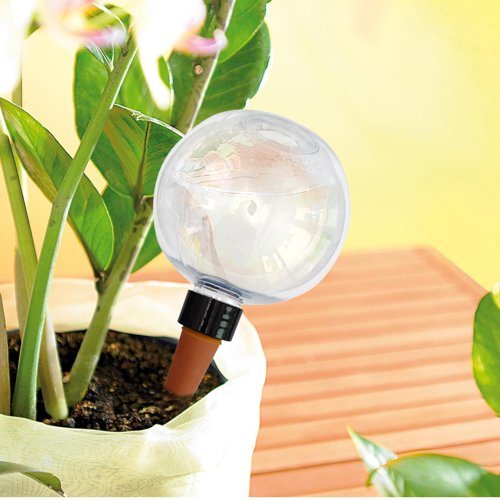 500ml Automatic Plant Watering - مراجعة Automatic Plant Waterer وسعره