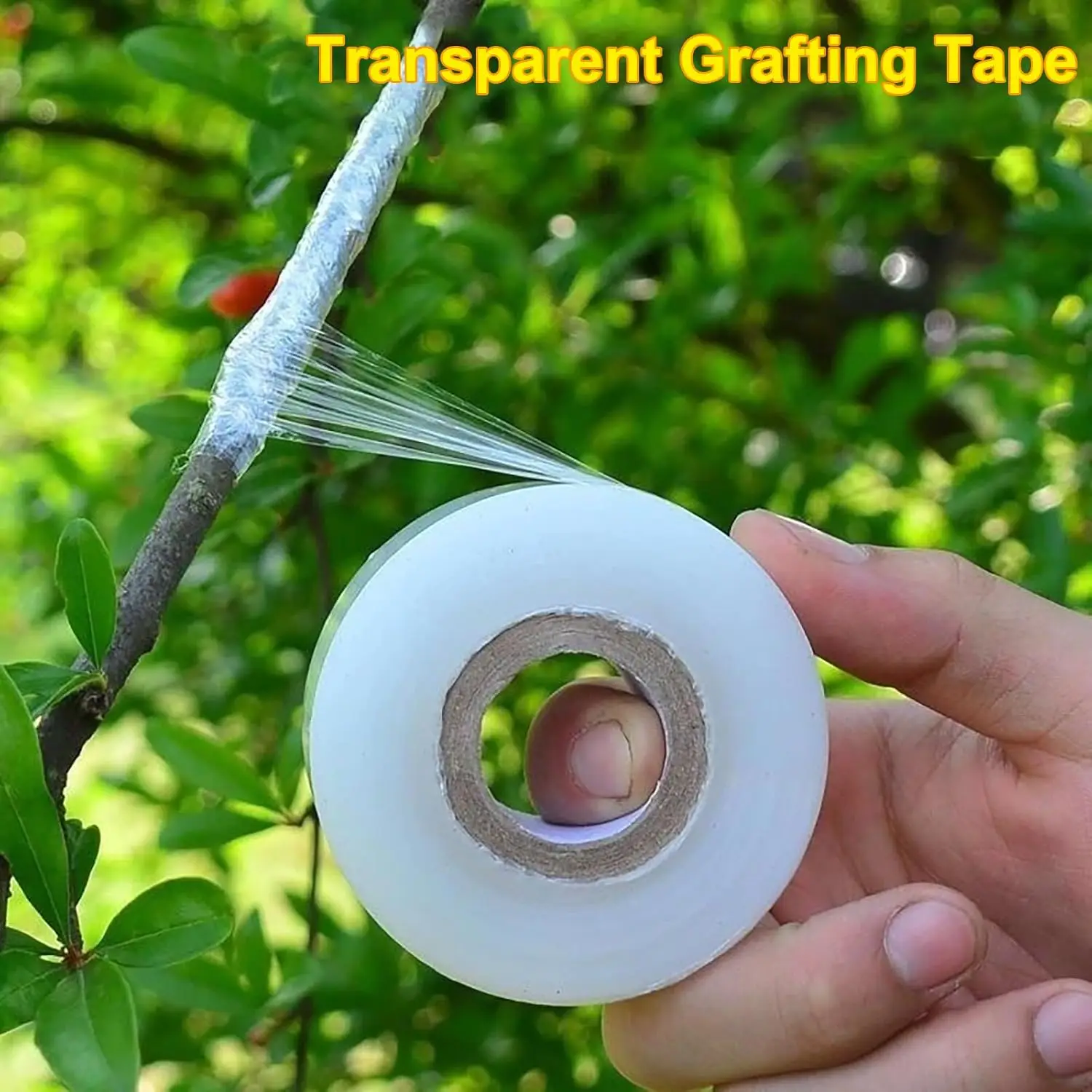 200M-800M Self-adhesive PE Gra - مراجعة Grafting Tape وسعره